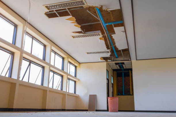 Best Commercial water damage restoration  in Pine Island, MN