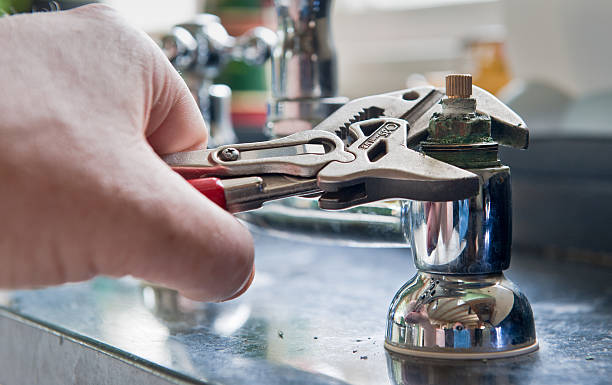 Best Ceiling water damage repair  in Pine Island, MN