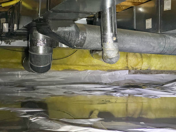 Best Local water damage restoration  in Pine Island, MN